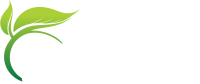 webliance-new-logo.png